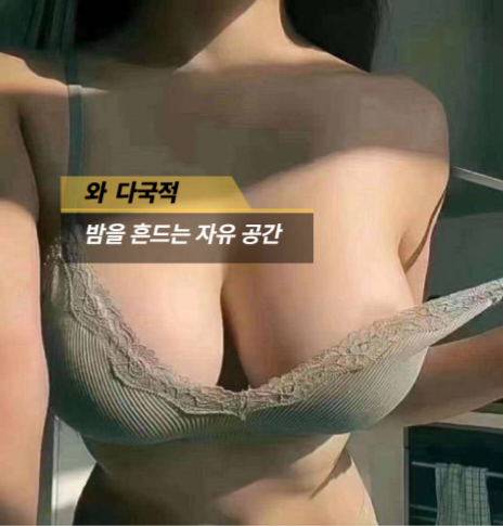 와다국적